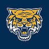 Wildcat King 👑's profile picture