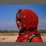 Фото профиля ༺ۣۖ✾Anani✾༻