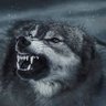 RaffForLiberty 4.0 🐺🇺🇸 的头像