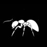 Zoe🐜🐜🐜🐜💥💥 profil fotoğrafı