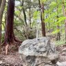 Фото профиля 屋久島で最初に岡田一門の黒帯になる!