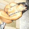 mimi32839's profile picture