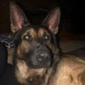 Csenge K.'s profile picture