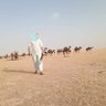 Фото профиля فتى الصحراء