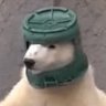 average bear enjoyer's profile picture