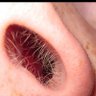 Nose Hair's profile picture