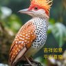 Фото профиля 吳丁財