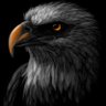 Aigle 🦅 de Mitumba🇨🇩 profil fotoğrafı