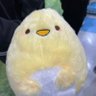 Фото профиля うじ/にゃんこ軍団