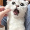 Profilbild von 网友小虫