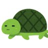 カメさん 的头像