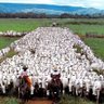 Фото профиля Gadolandia🇧🇷👪