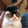 Grumpy Cop's profile picture