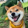 Profilbild von Jack