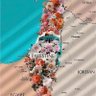 Фото профиля BeautifulPalestine