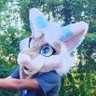 Profilbild von umi_the_feline🔜FWA’25