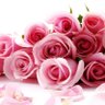 ريم ناصر's profile picture