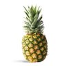 Profilbild von PineappleJar_