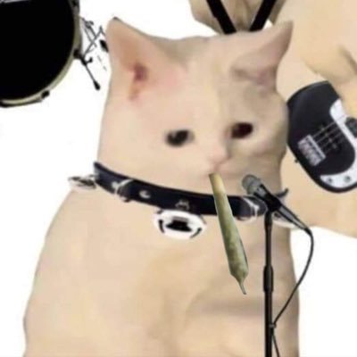 🌈Agenda gay's profile picture
