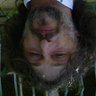 jean-claude joseph's profile picture