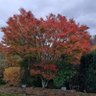 Фото профиля Jill Withers