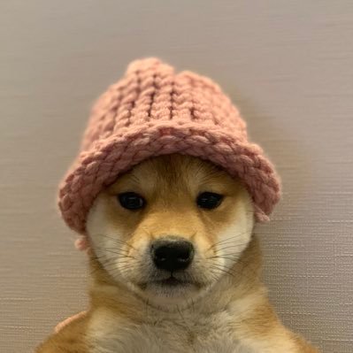 achichuchu's profile picture