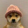 achichu profil fotoğrafı