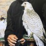 Profilbild von الزير باحث