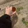الجوهرة🍂 的头像