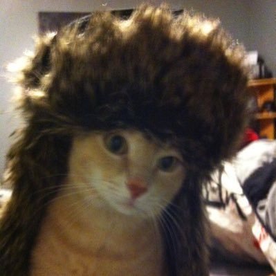 spagetti's profile picture