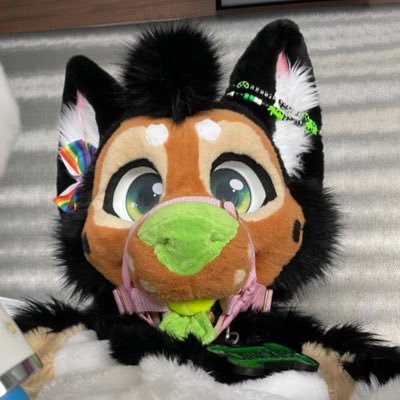 Chuckles Shep's profile picture