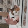 Фото профиля Nahriuque