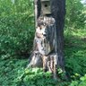 Oikka Erzäñ profil fotoğrafı