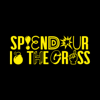 SplendourintheGrass's profile picture