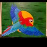 xyomga's profile picture