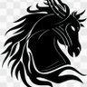 Braydiel's profile picture