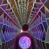 josh's profile picture