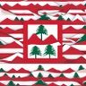 Zainnassar's profile picture