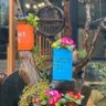 Фото профиля GMC