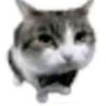 abigchonk1464 的头像