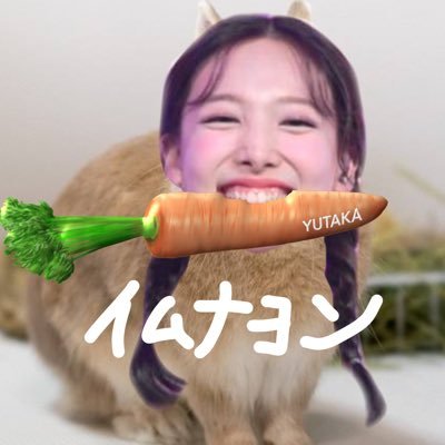 ゆたか🥕's profile picture