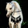 Фото профиля 🇸🇦👑🌟🤍 ﮼العمر ﮼لحظات
