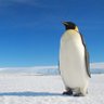 Profilbild von EZA🐧生粋のC層🐧