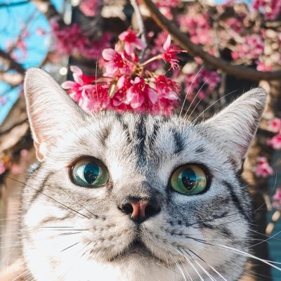 Aquamarie2127's profile picture