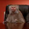 Фото профиля Dang Baboon