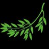 My_Pays 🌿 profil fotoğrafı