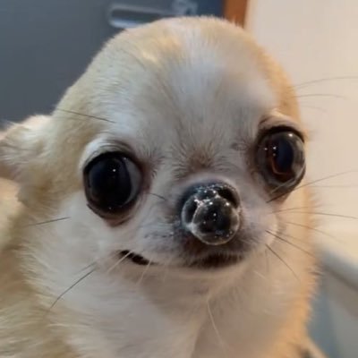 wawa's profile picture