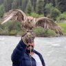 طارق المري profil fotoğrafı