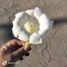 Фото профиля ℋ𝒜𝒦ℐℳ