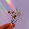 Mel⁷ ⟬⟭ 💜 ⟭⟬ (SEEING BTS) 的头像